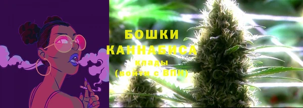 мяу мяу мука Аркадак