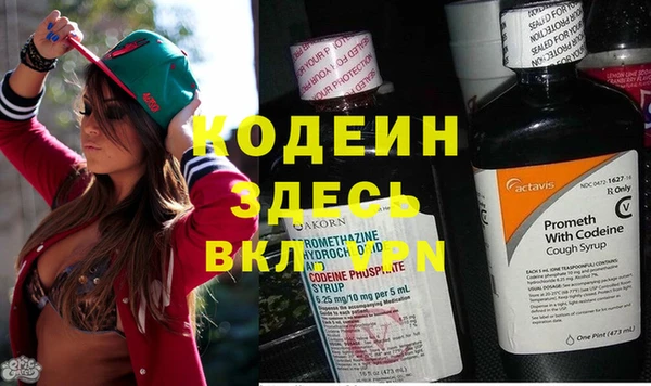 мяу мяу мука Аркадак