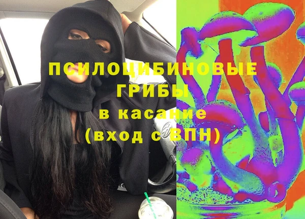индика Тайга
